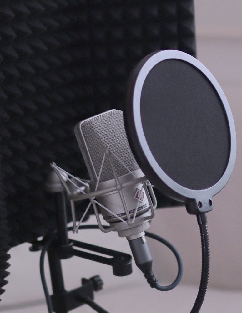 Neumann TLM 103 microphone with pop filter and acoustic panel